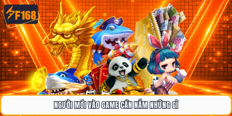 Người mới vào game cần nắm những gì